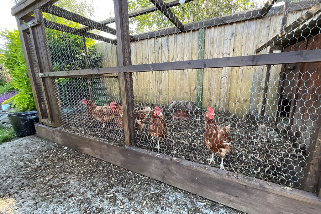 Roselawn Cottage Experience 17