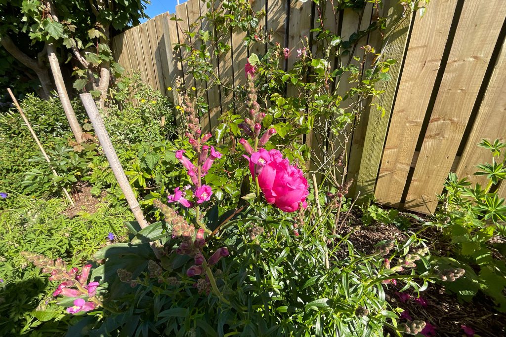 Roselawn Cottage Experience 21